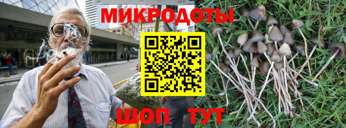 Галлюциногенные грибы Psilocybe Берёзовский