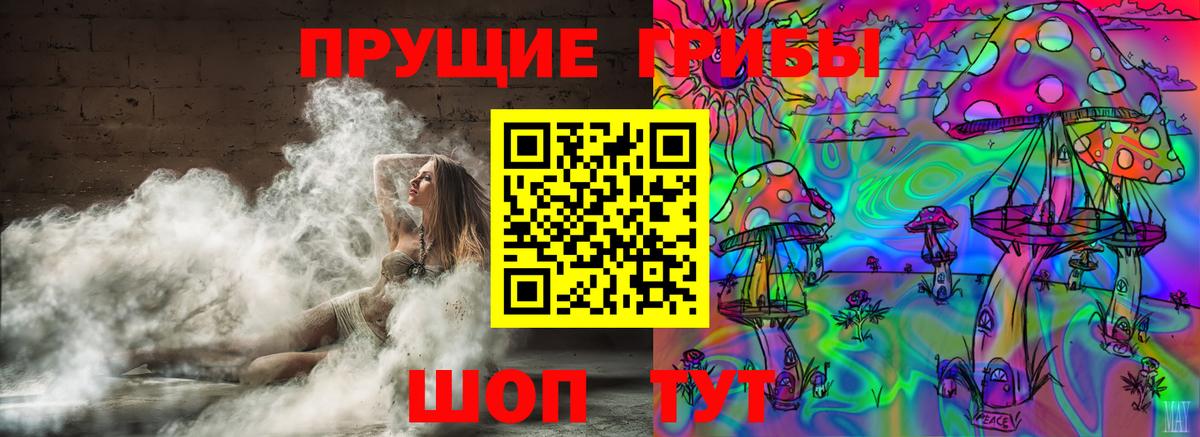 Берёзовский  Псилоцибиновые грибы мицелий  Вход с VPN  Галлюциногенные грибы Psilocybe 